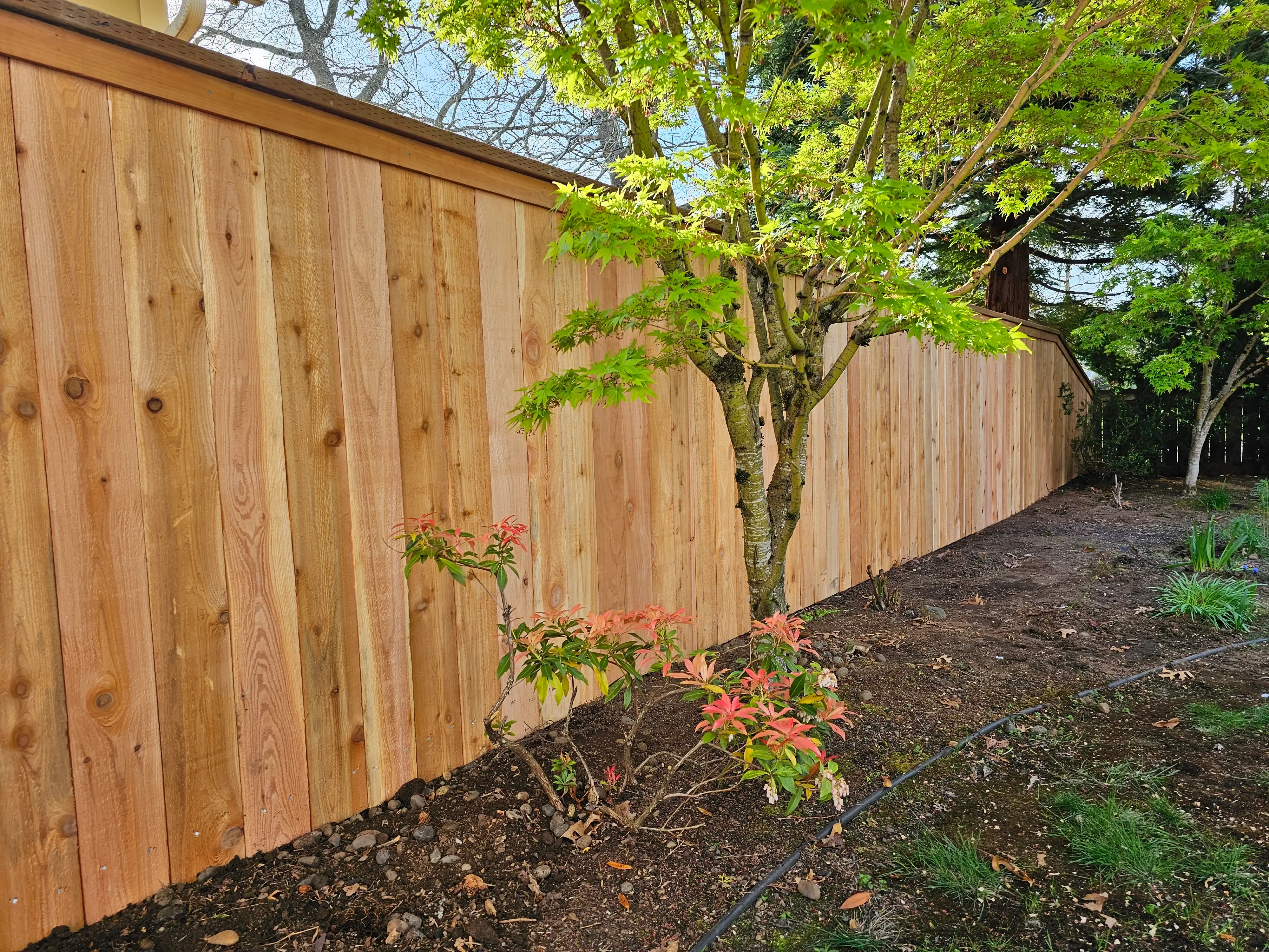 A very nice looking fence.