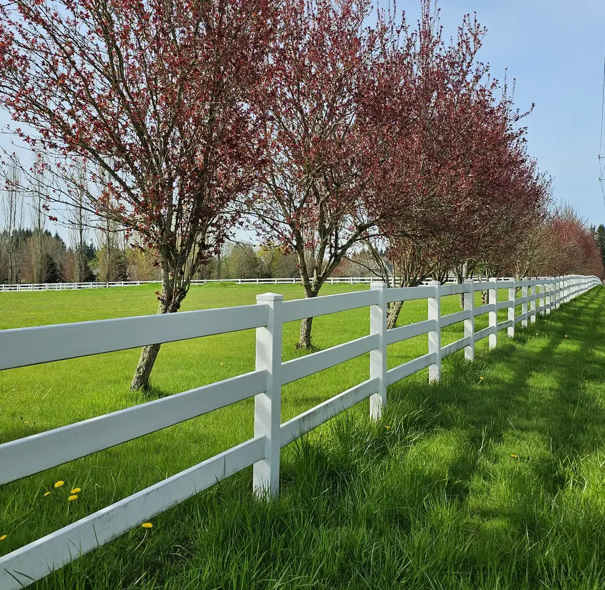 A very nice looking fence.